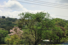 2U7A1107