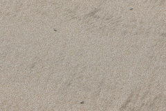 2U7A2319