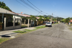 2U7A2975