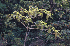 2U7A3609